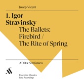 Igor Stravinsky. The Ballets: Firebird / The Rite of Spring artwork