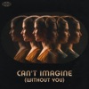 Can’t Imagine (Without You) - Single