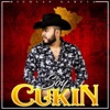 Soy Cukin - Single