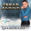 Enamorado - Single