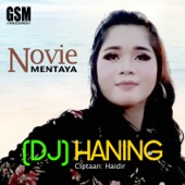 DJ-Haning artwork