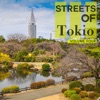 Streets of - Tokio, Vol. 4