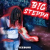 BIG $tEPPA - Single