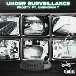 UNDER SURVEILLANCE cover art