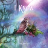 I Know - Single