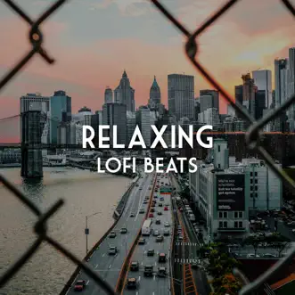 Late Night Beats by Lofi Sleep Chill & Study, Lofi Hip-Hop Beats & Lo-Fi Beats song reviws