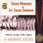 Sonora Santanera - El nido