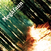 Megafaun - Impressions of the Past