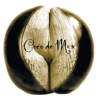 Coco De Mer - Fire
