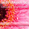 Best Traxx 02