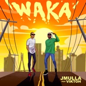 Waka (feat. Viktoh) artwork