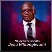 Jesu Mhlengiwami artwork