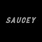 Saucey - Dayvid Swims lyrics