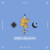 Who Are You? (Chris Lake Remix) artwork