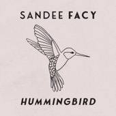 Hummingbird artwork