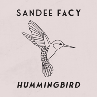 Sandee Facy - Hummingbird artwork