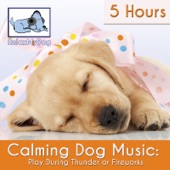 Calming Dog Music: Play During Thunder or Fireworks - 5 Hours artwork