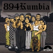 894 Kumbia artwork