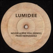 Never Leave You (Remix) artwork