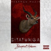 Blueprint Hakeem - Sitatunga (feat. Azingeh, Young Fame & Wan Shey)