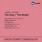 The Grey / The Bright: I. The Grey artwork