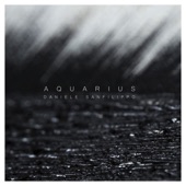 Aquarius artwork