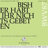 Bisher habt ihr nichts gebeten in meinem Namen, BWV 87: VI. Ich will leiden, ich will schweigen (Arie [Tenor]) [Live] artwork