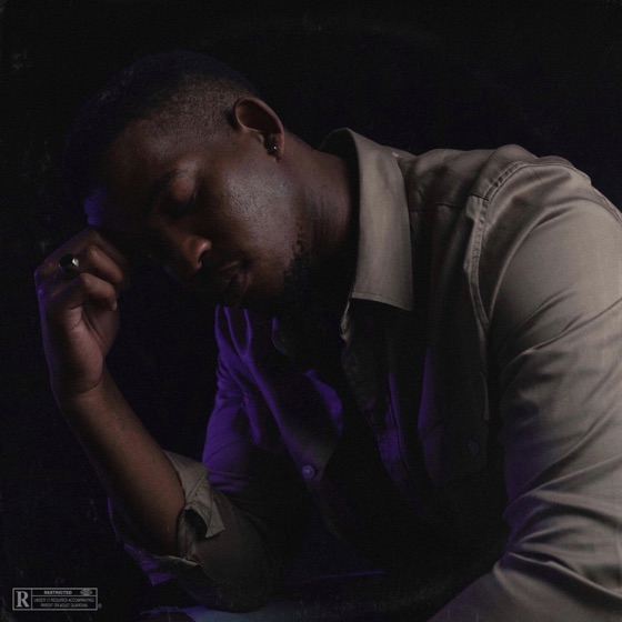 Cover artwork for Nothing Like It