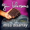 Miss Disarray - Single