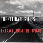 Extract from the Fungus - EP artwork