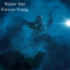 Sombre View - Winter Star