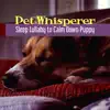 Pet Whisperer: Sleep Lullaby to Calm Down Puppy, Therapy Music for Hyperactive Dogs, Behaviorist Methods album lyrics, reviews, download