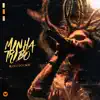 Minha Tribo - Single album lyrics, reviews, download