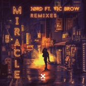 Miracle (Brannco Remix) [feat. Vic Brow] artwork