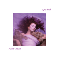 Album Running Up That Hill (A Deal with God) - Kate Bush