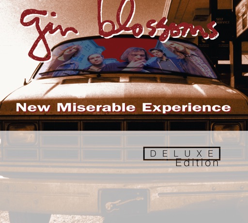 Art for Until I Fall Away by Gin Blossoms