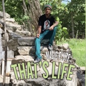 That's Life artwork