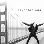 Rakastan sua artwork