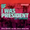 If I Was President (Remix) [feat. Boog Brown, Mega Ran, Sa-Roc & QVLN] - Single album lyrics, reviews, download