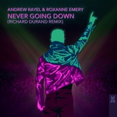 Never Going Down (Richard Durand Remix) artwork