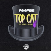 Top Cat (feat. D Power Diesle & Brakeman) artwork