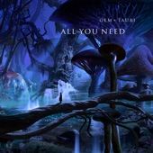 All You Need (feat. Fiora) artwork