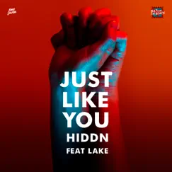 Just Like You (feat. Lake) - Single by HIDDN album reviews, ratings, credits