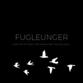 Fugleunger artwork