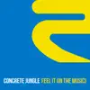 Feel It (In the Music) - Single album lyrics, reviews, download