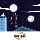 白月光与朱砂痣(Dj张总版) artwork