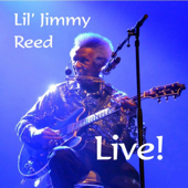 Hoochie Coochie Man (Live) - Lil Jimmy Reed