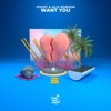 Want You - Single