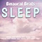 Brain Power - Binaural Beats Sleep lyrics
