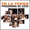You Can Have It All - Yo La Tengo lyrics